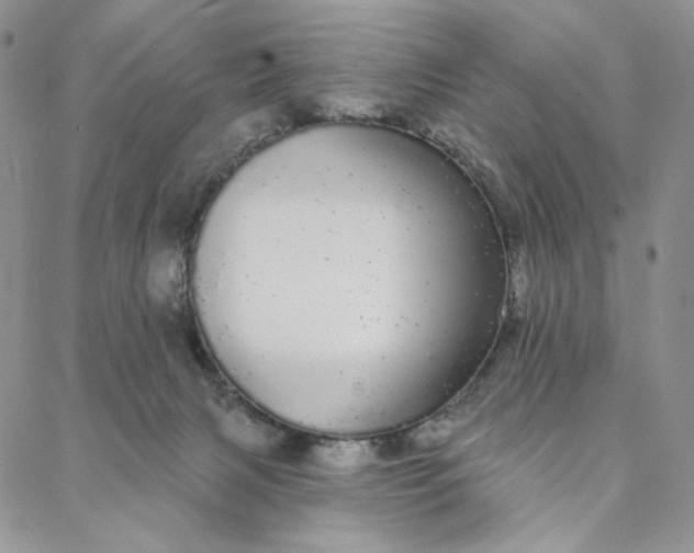 X0000088020079200705251102