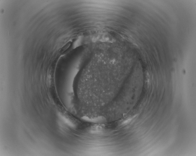 X0000088020080200705251102