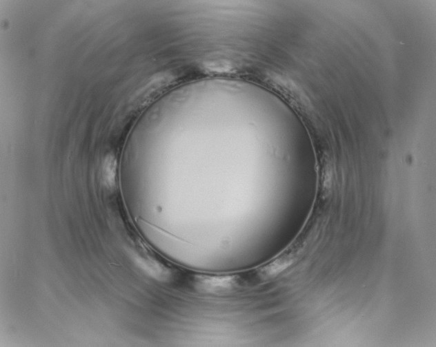 X0000088020081200705251102