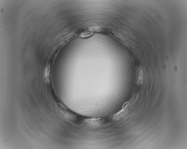 X0000088020082200705251102