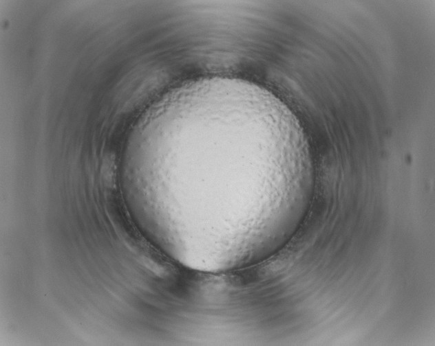 X0000088020083200705251102