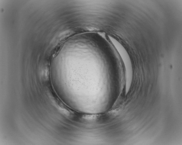 X0000088020084200705251102