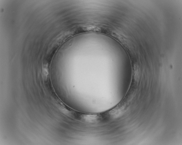 X0000088020085200705251102