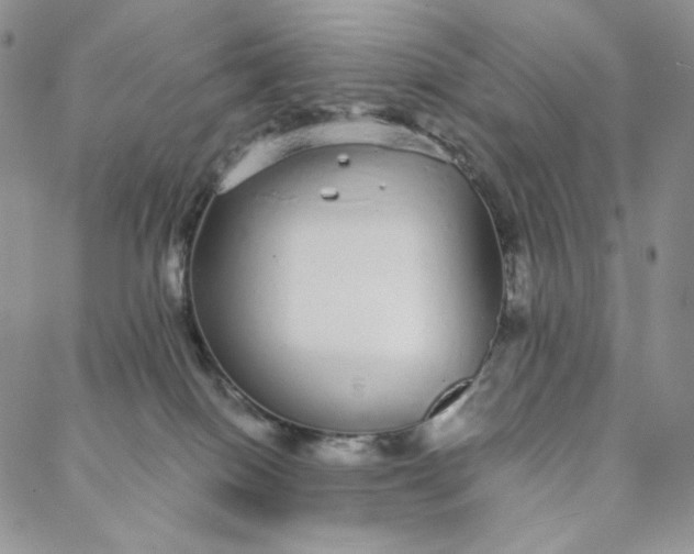 X0000088020086200705251102