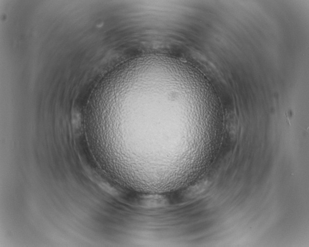 X0000088020087200705251102