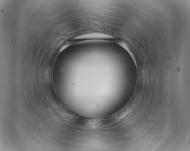 X0000088020088200705251102