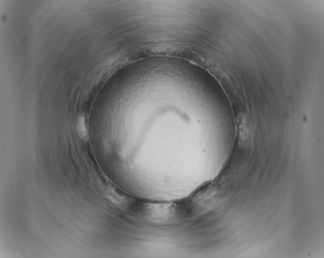 X0000088020089200705251102