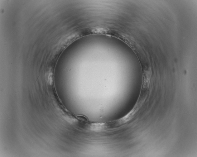 X0000088020090200705251102