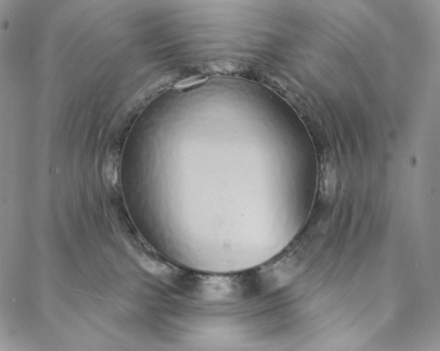 X0000088020091200705251102