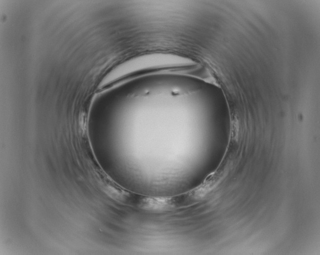 X0000088020093200705251102