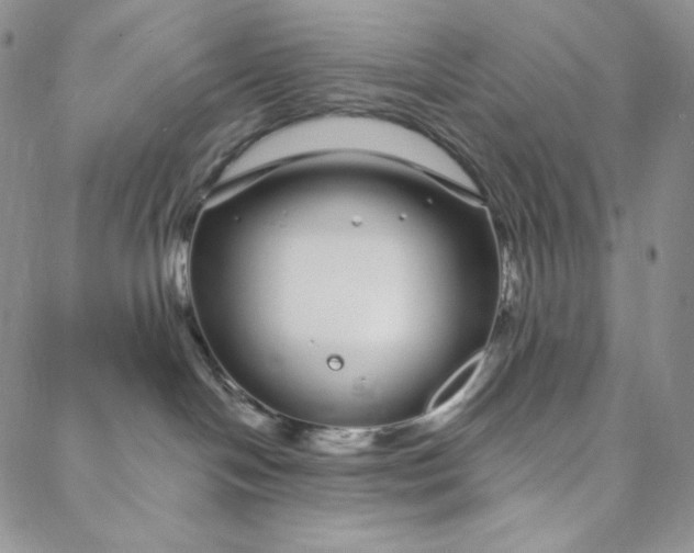 X0000088020094200705251102