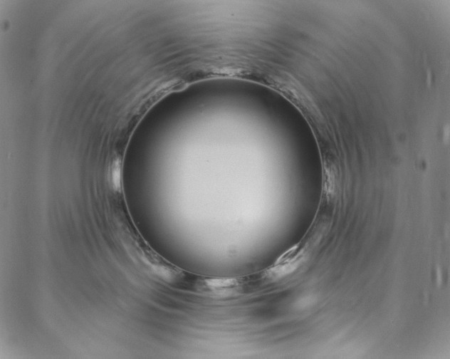 X0000088020095200705251102