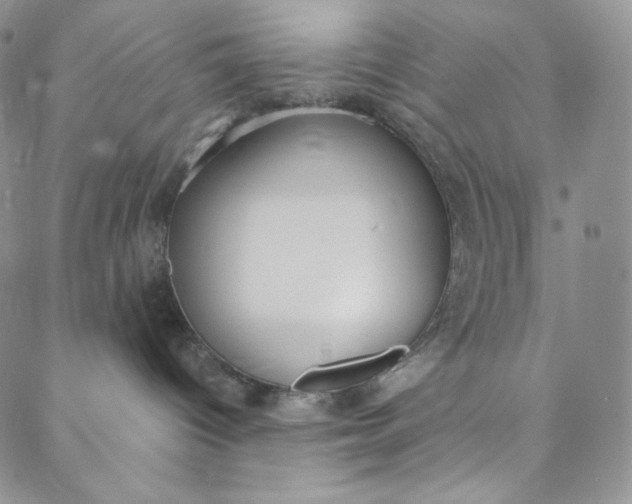 X0000088020096200705251102