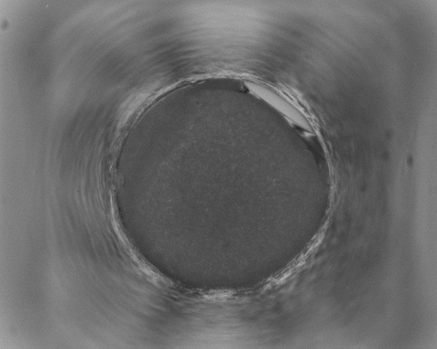 X0000088020097200705251102