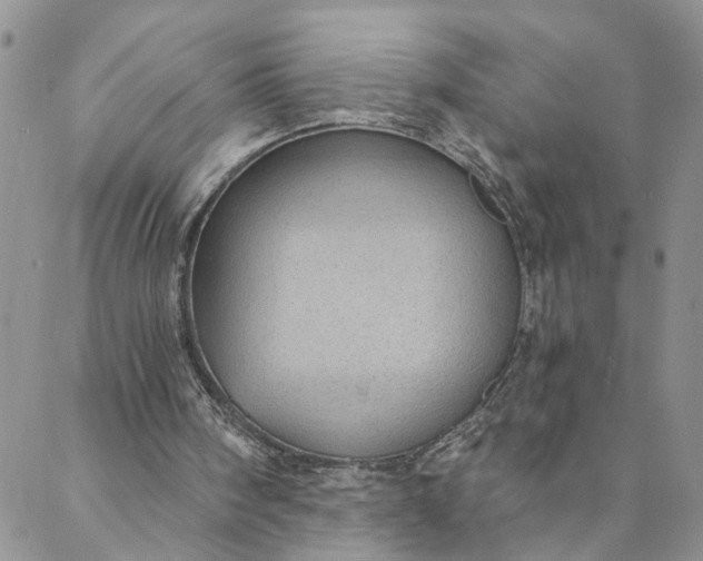 X0000088020098200705251101