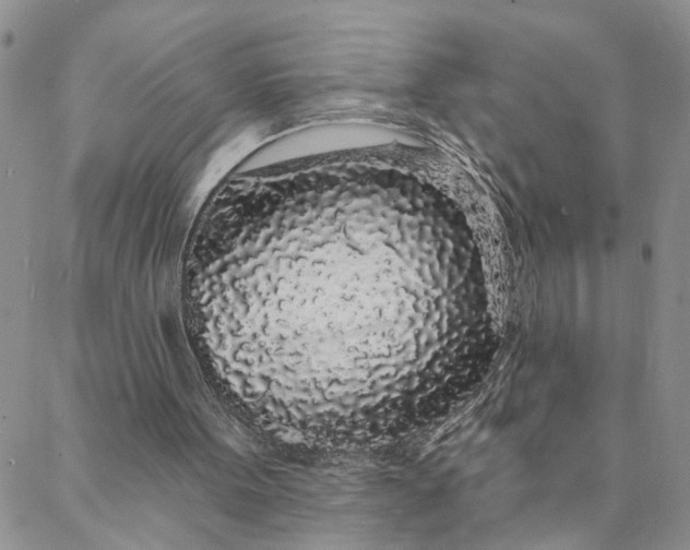 X0000088020099200705251101