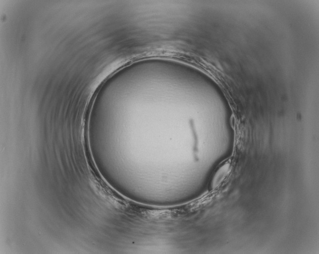 X0000088020100200705251101