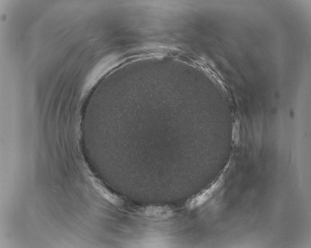 X0000088020101200705251101