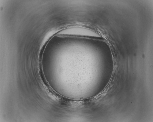 X0000088020102200705251101