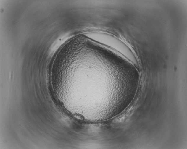 X0000088020103200705251101