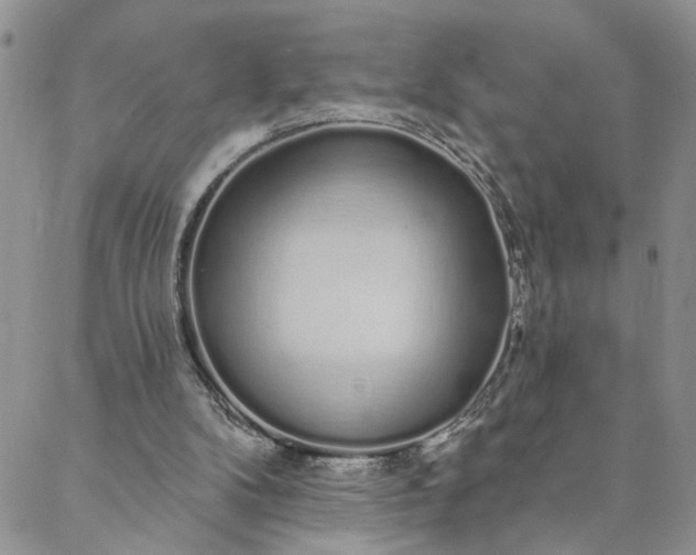 X0000088020104200705251101