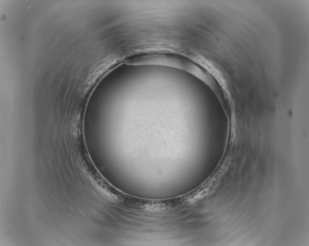 X0000088020105200705251101