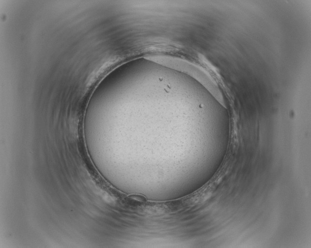 X0000088020106200705251101