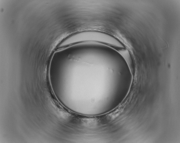 X0000088020107200705251101