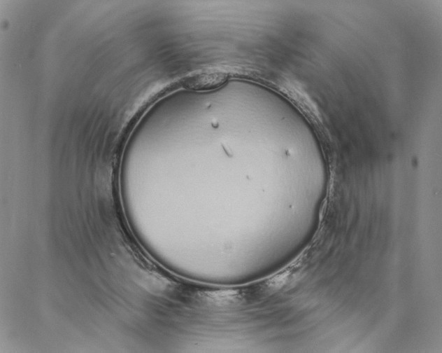 X0000088020108200705251101