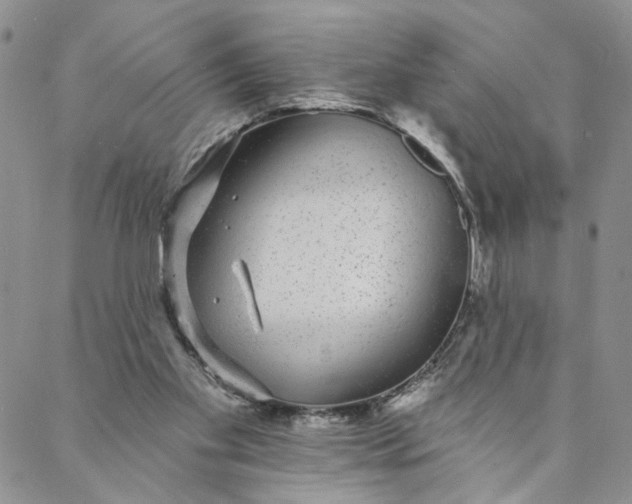 X0000088020109200705251101