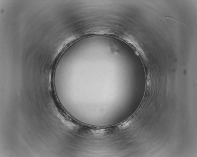 X0000088020110200705251101