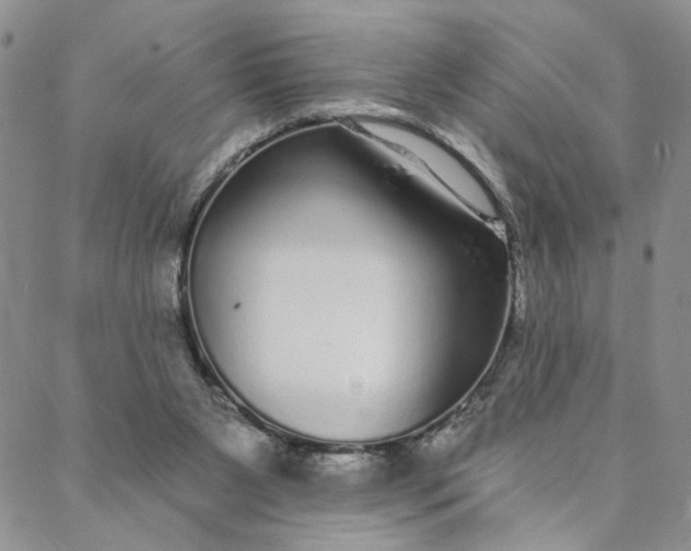 X0000088020111200705251101