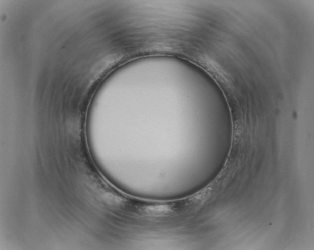 X0000088020112200705251101