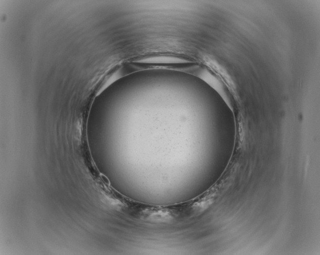 X0000088020113200705251101