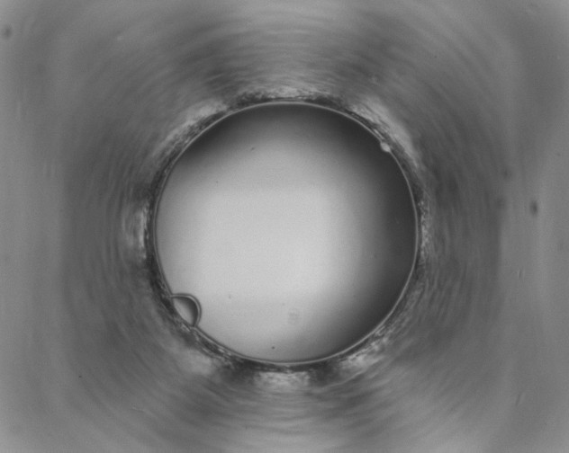 X0000088020115200705251101