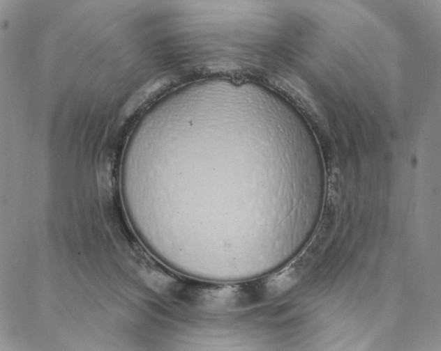 X0000088020116200705251101