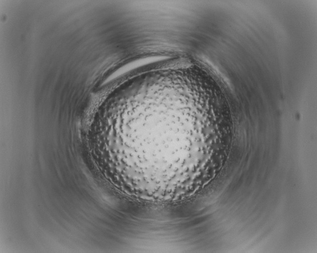 X0000088020117200705251101