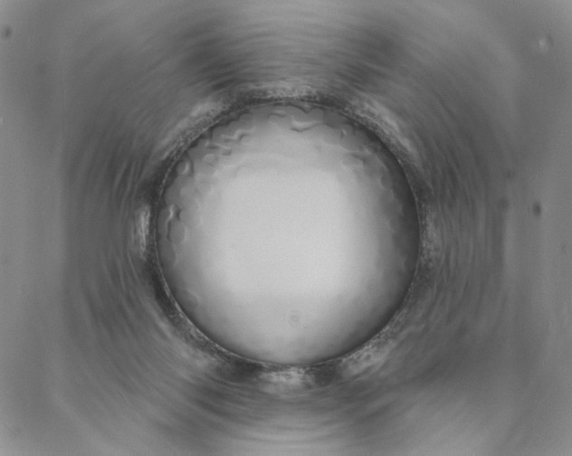 X0000088020118200705251101