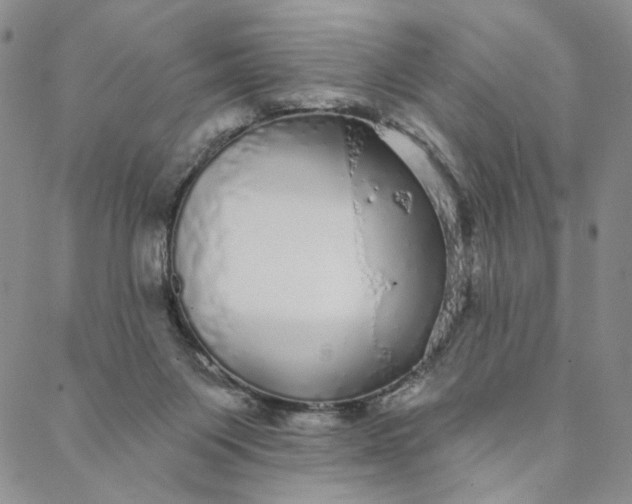 X0000088020119200705251101