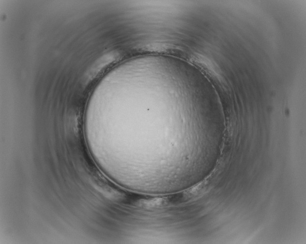 X0000088020120200705251101