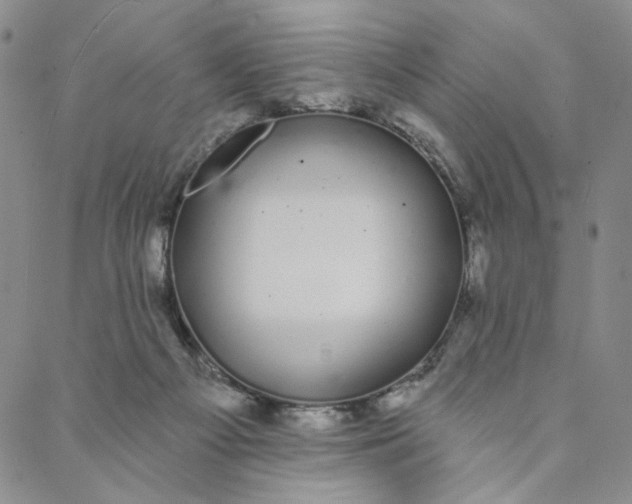 X0000088020121200705251101