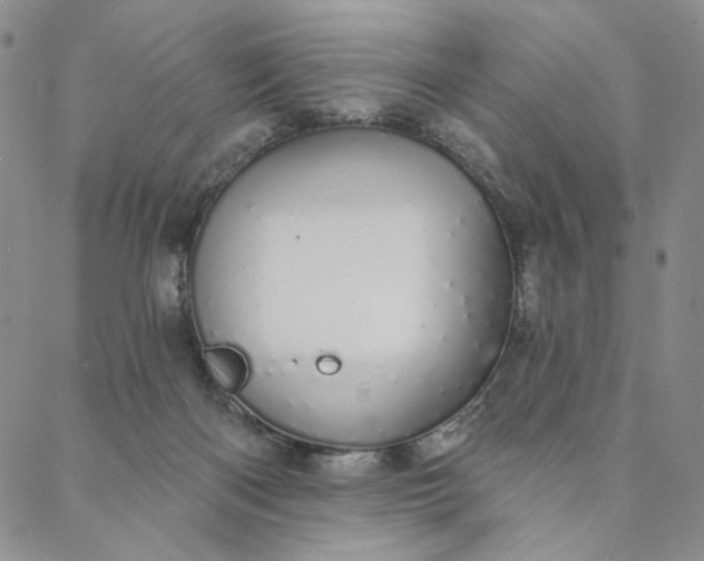 X0000088020122200705251101