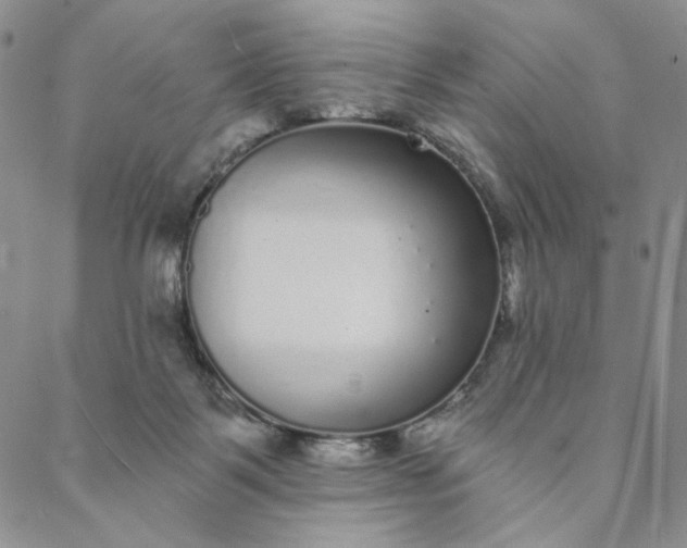 X0000088020123200705251101