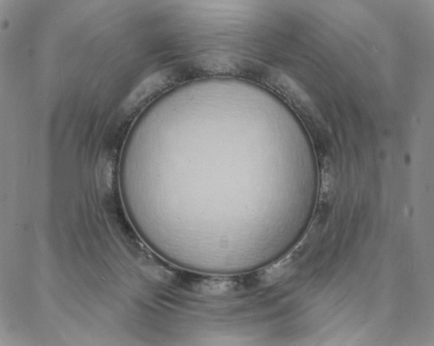 X0000088020124200705251101