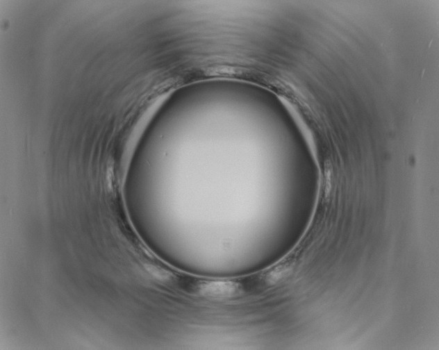 X0000088020125200705251101