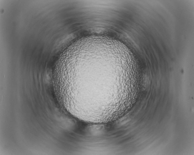 X0000088020126200705251101