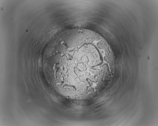 X0000088020127200705251101