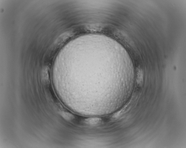 X0000088020128200705251101