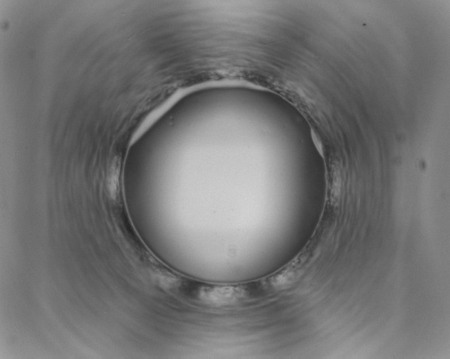 X0000088020129200705251101