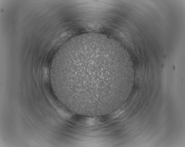 X0000088020130200705251101